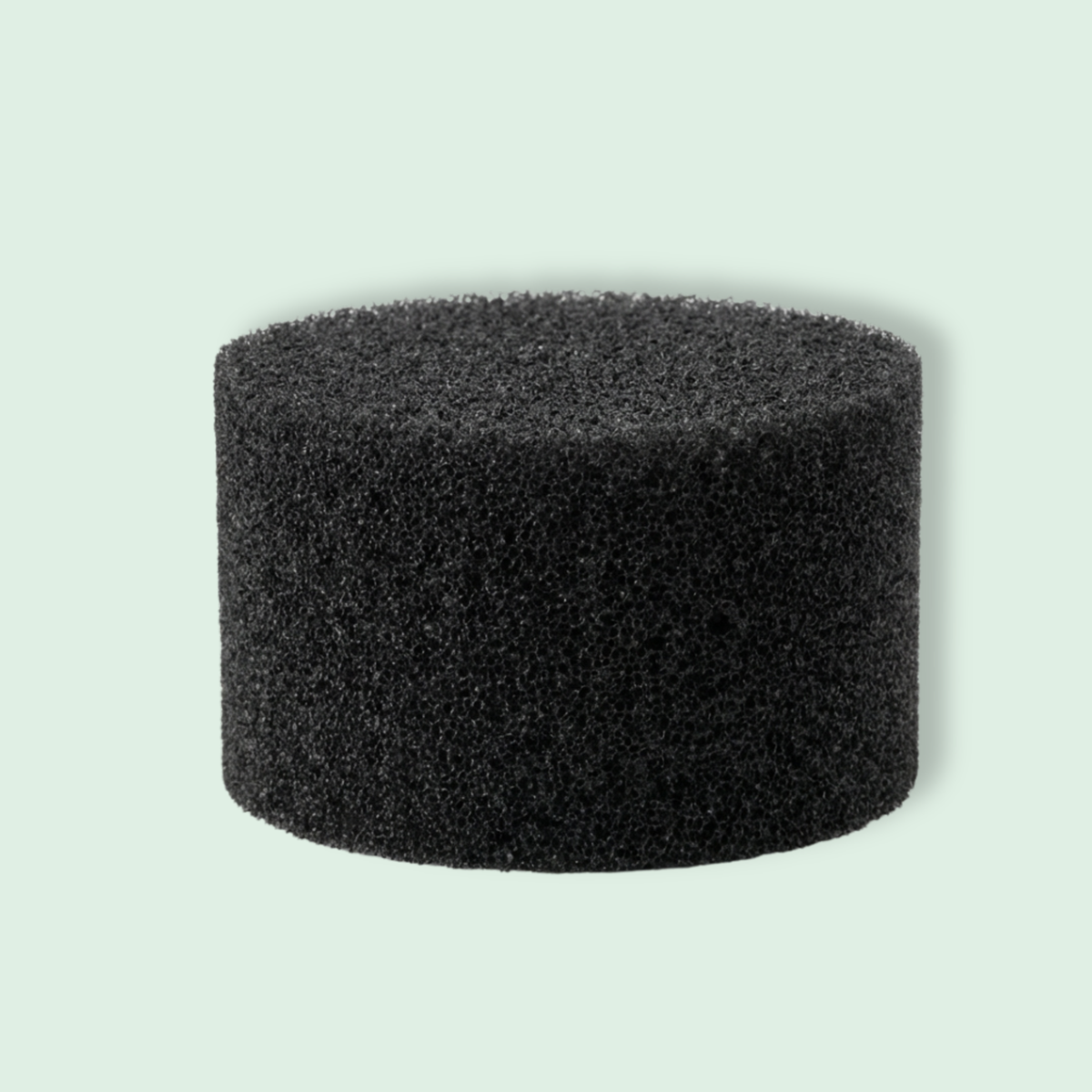 10x skumfilter til CleanFriend SpotCleaner™ tæpperenser – reservefiltre