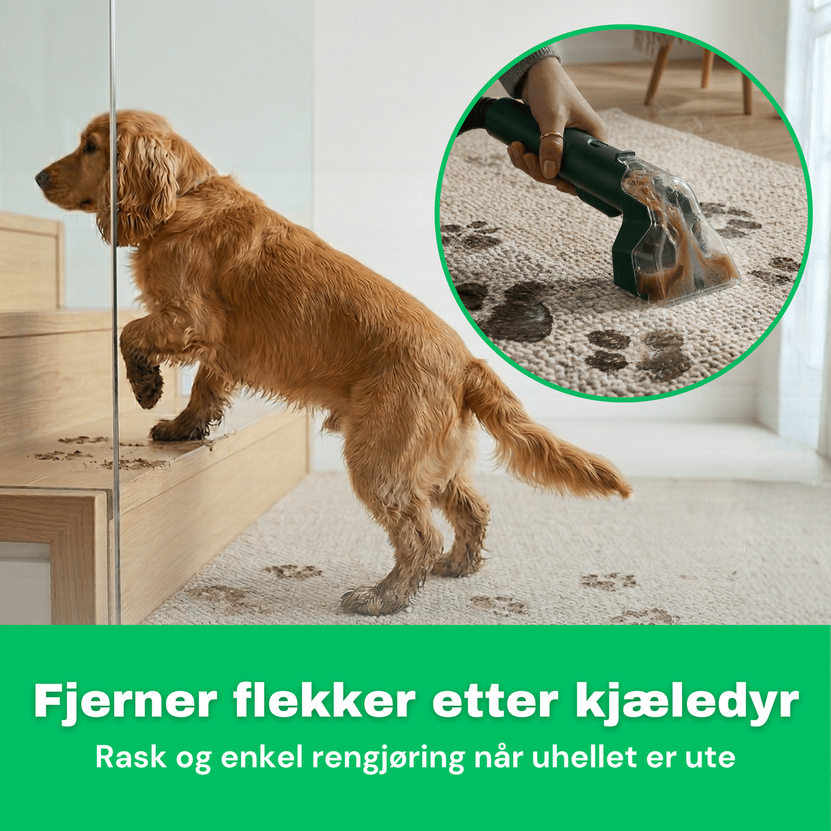 NO: CleanFriend SpotCleaner™ tepperenser 5
