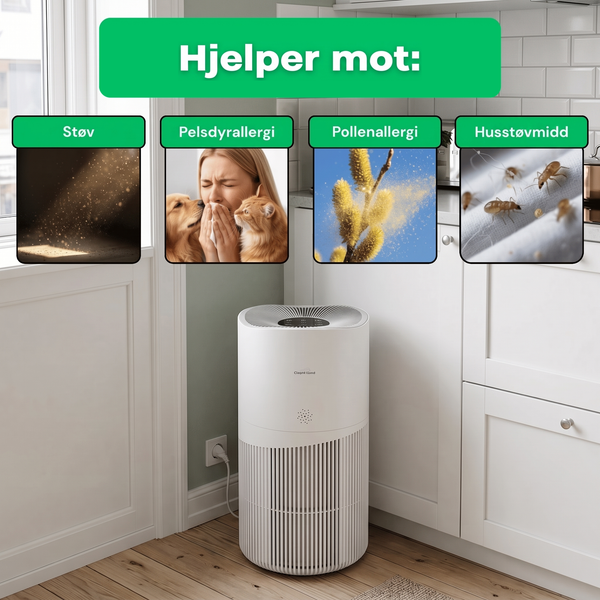NO: CleanFriend AirFlow70™ luftrenser hjelper mot støv, pelsdyrallergi, pollen og husstøvmidd