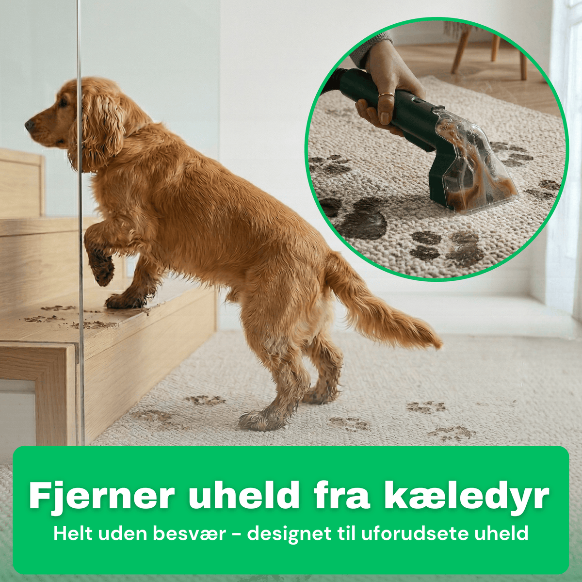 CleanFriend SpotCleaner™ tæpperenser – rengøring af bilsæde